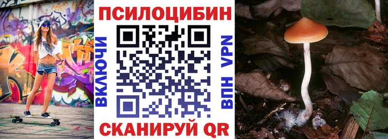 цены Кочубеевское мега ССЫЛКА Галлюциногенные грибы MAGIC MUSHROOMS